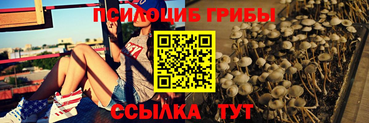 Галлюциногенные грибы ЛСД Нововоронеж
