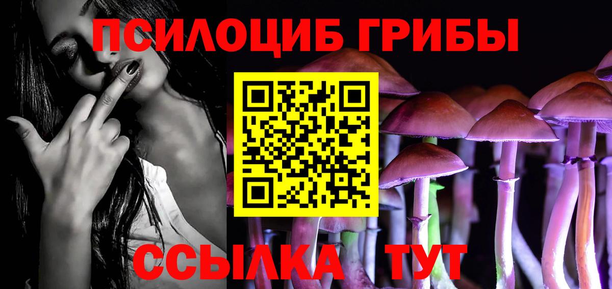 Псилоцибиновые грибы Psilocybine cubensis  Вход с VPN  Нововоронеж 